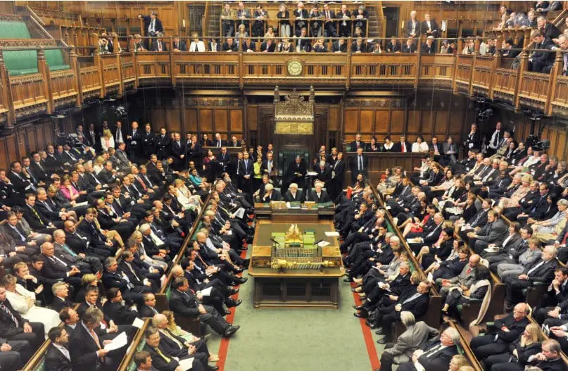 23 Important Pros and Cons of Parliamentary Democracy