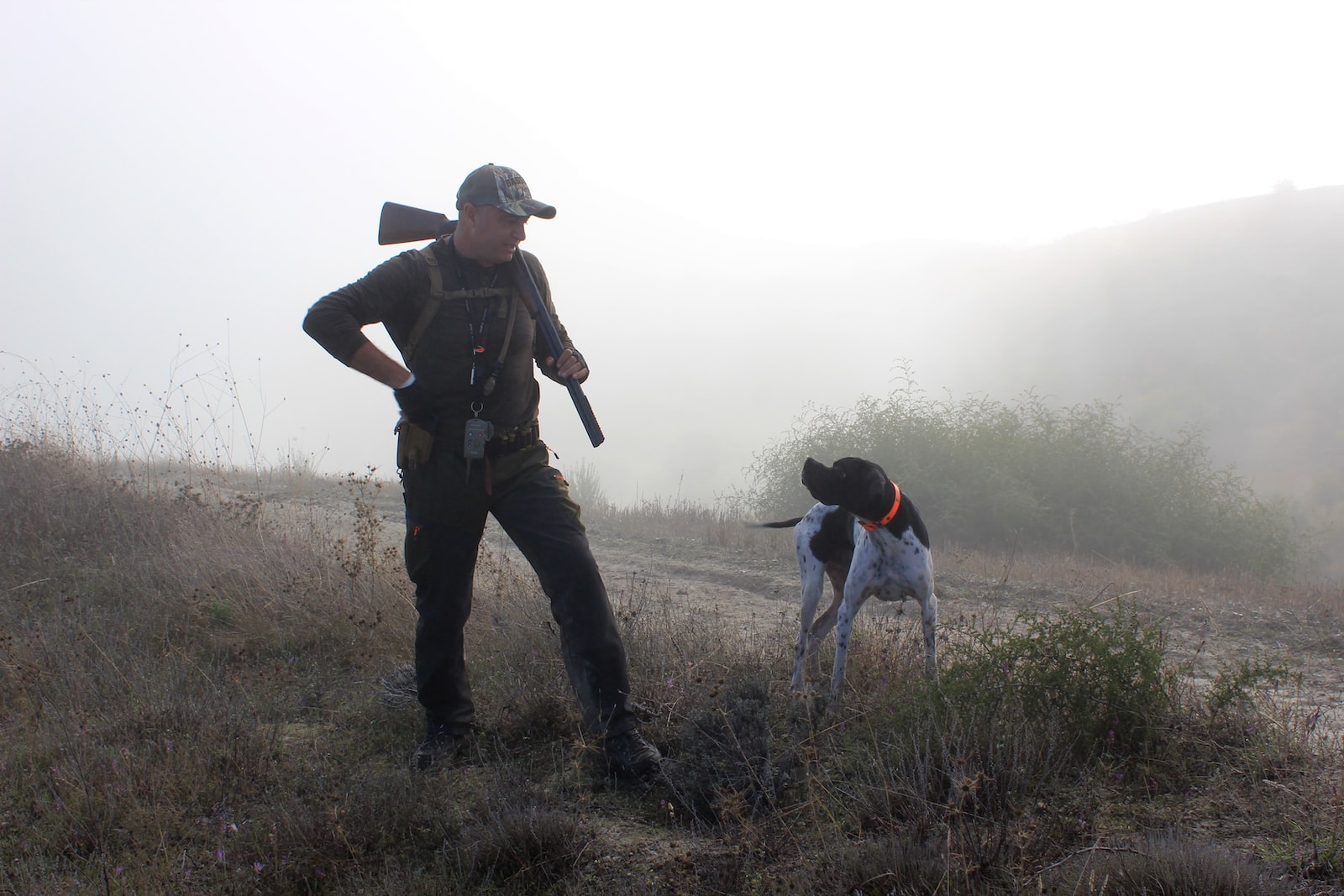 50 Crucial Pros and Cons of Hunting