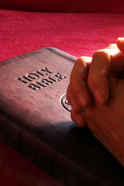 Pros y contras de la Biblia Nasb