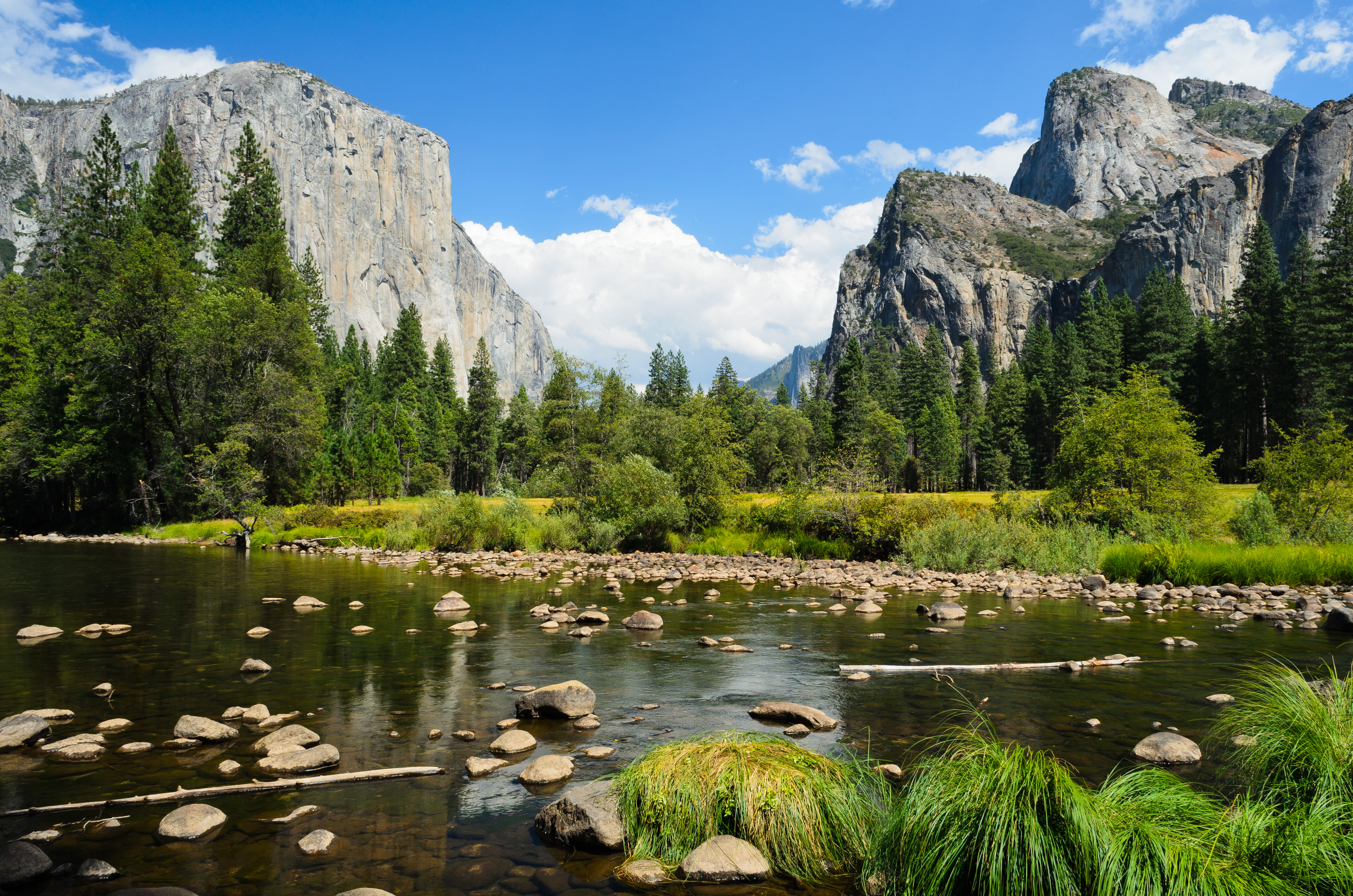California: Yosemite National Park