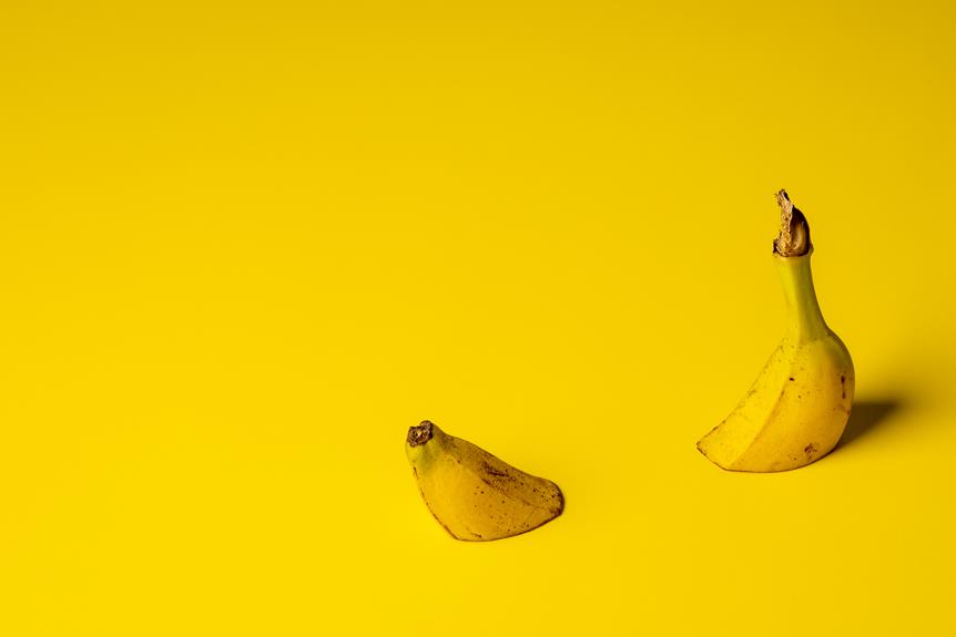 biodegradability of banana peels