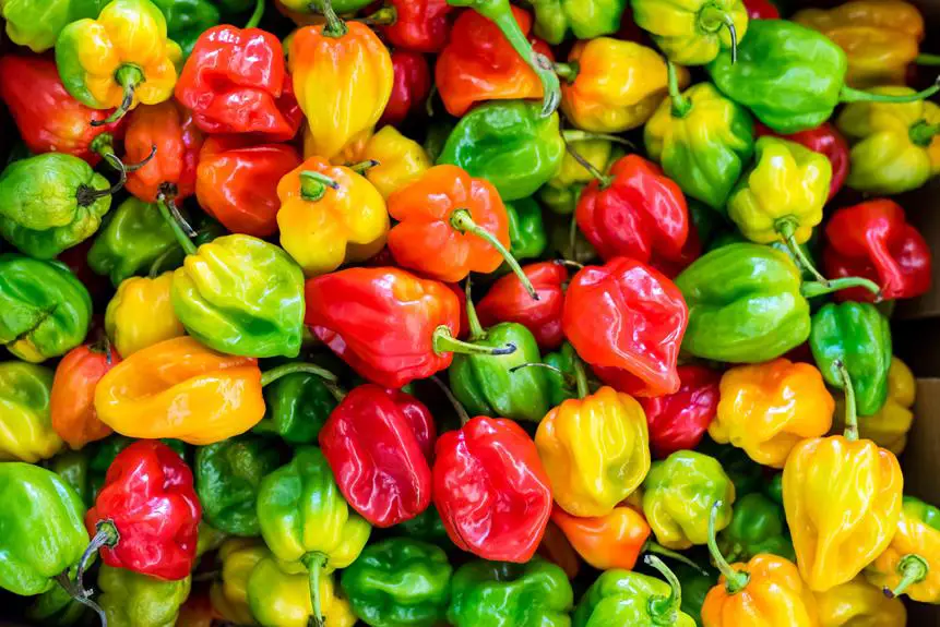Pros and Cons of Bell Peppers