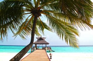 Pros and Cons of Dream Vacations Franchise