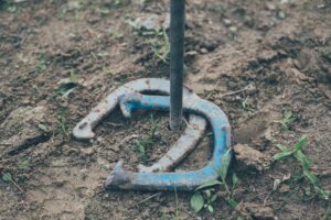 Pros and Cons of Natural Balance Horseshoes