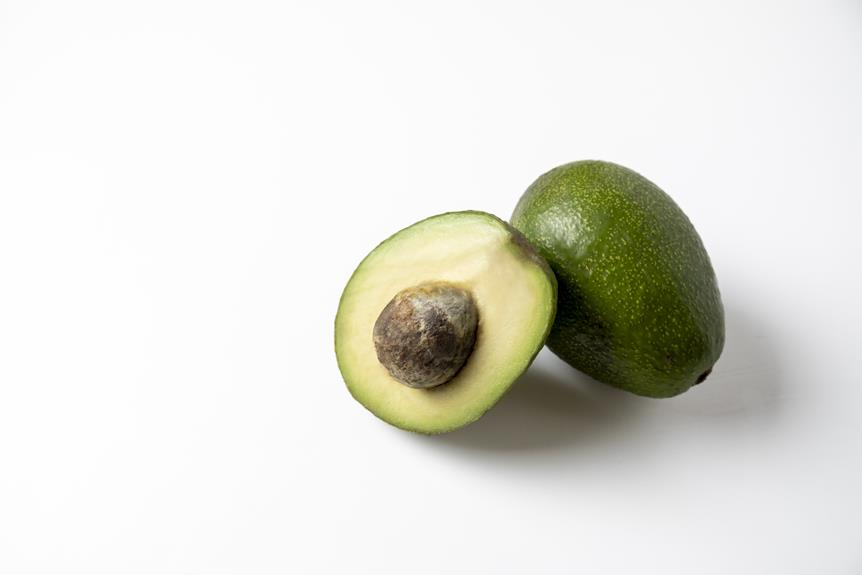 advantages and disadvantages of avocado