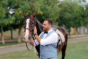 Pros and Cons of Owning a Horse