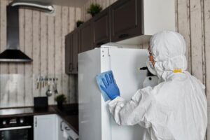 Cómo lavar la lechuga para matar las bacterias